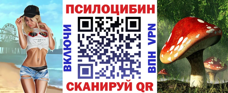 Псилоцибиновые грибы Psilocybine cubensis  где можно купить наркотик  даркнет клад  Буинск 